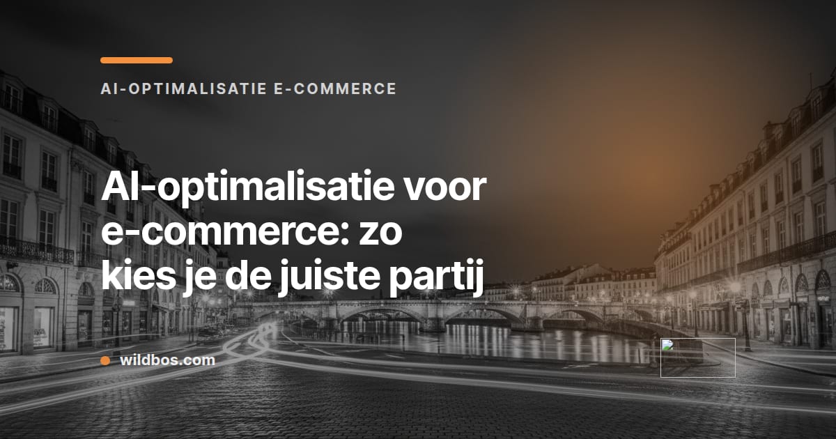 Kaart in Wildbos-huisstijl over het kiezen van de juiste partij voor AI-optimalisatie in e-commerce