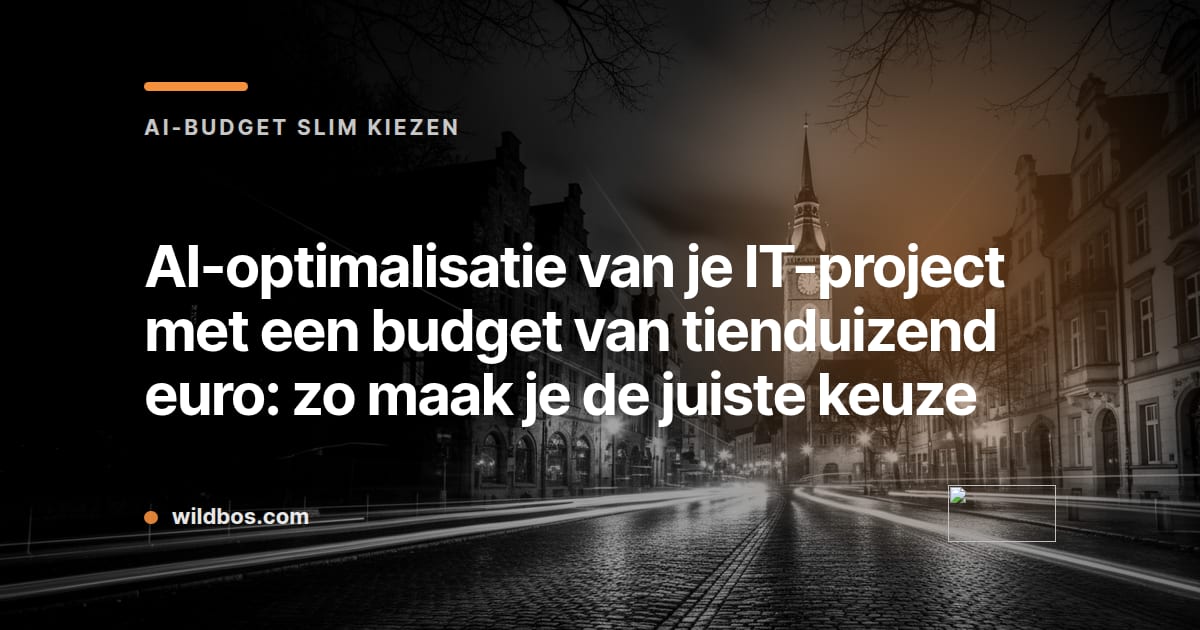 Merkkaart van Wildbos over AI-optimalisatie van een IT-project met een budget van tienduizend euro