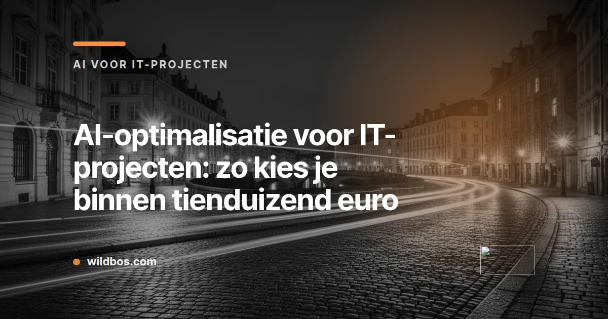 Kaart van Wildbos over AI-optimalisatie voor IT-projecten met een budget tot tienduizend euro