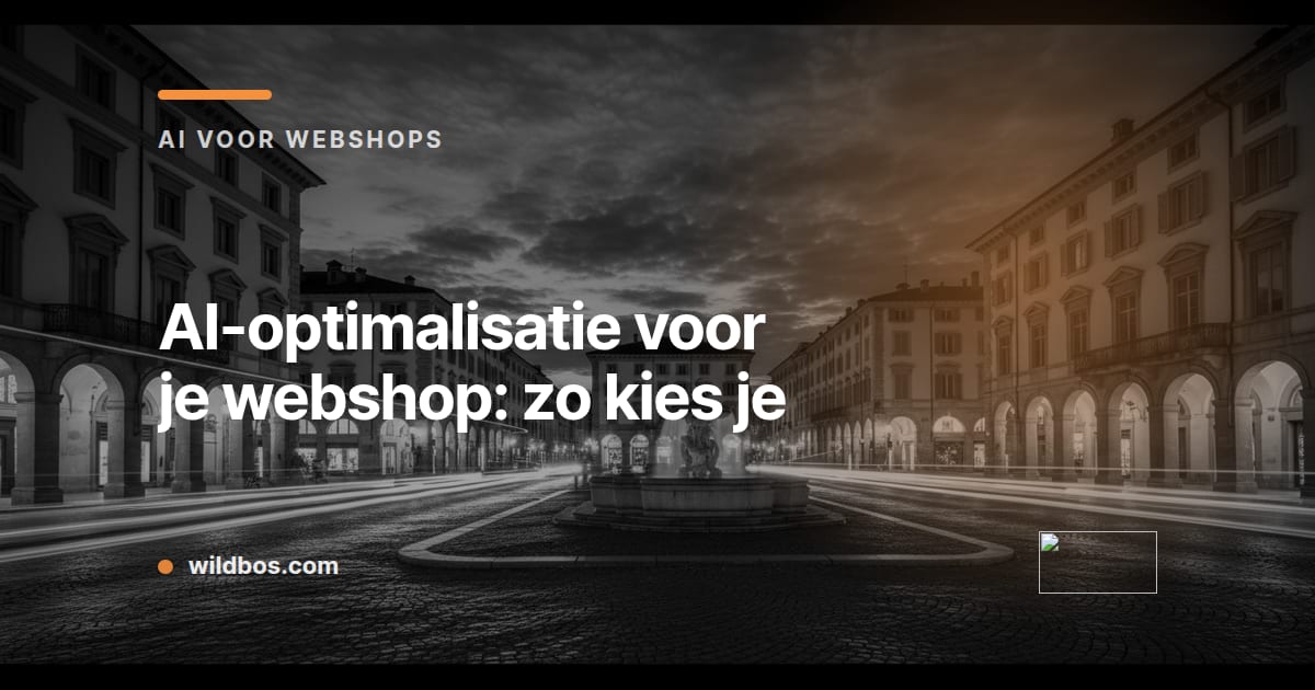 Wildbos-kaart over het kiezen van AI-optimalisatie voor je webshop