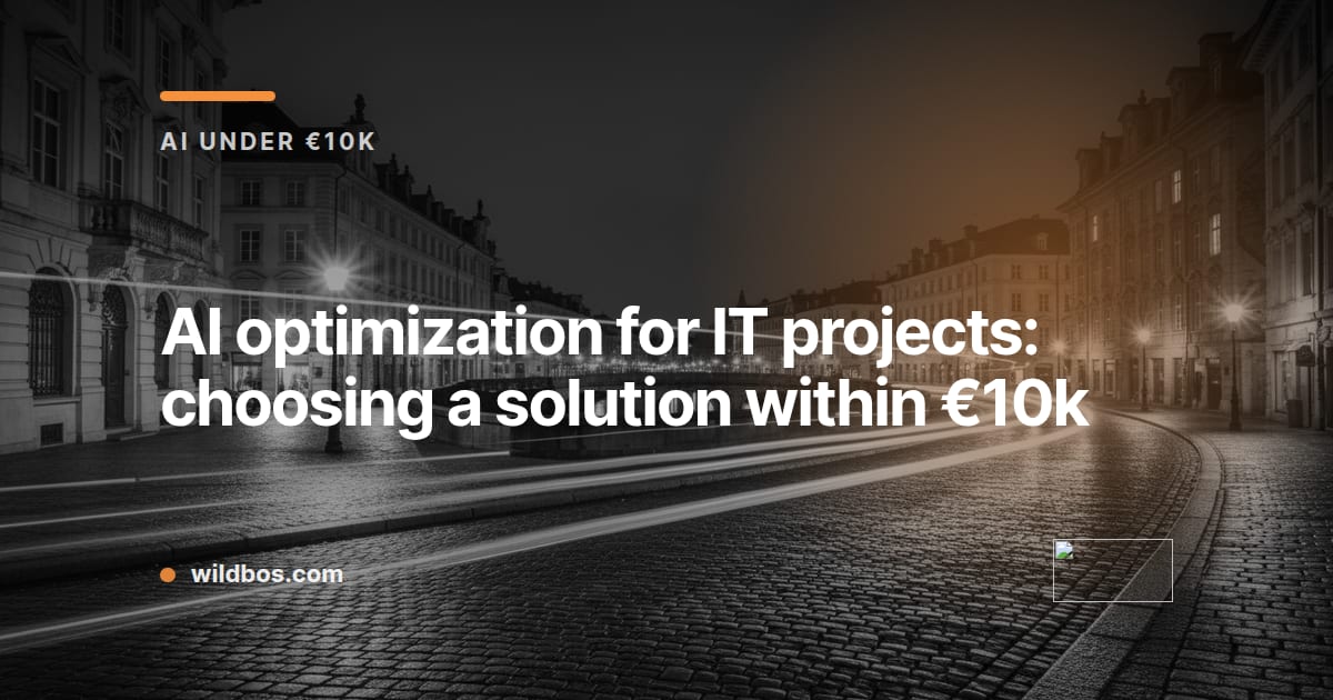 Wildbos brand card about AI optimization for IT projects under ten thousand euros