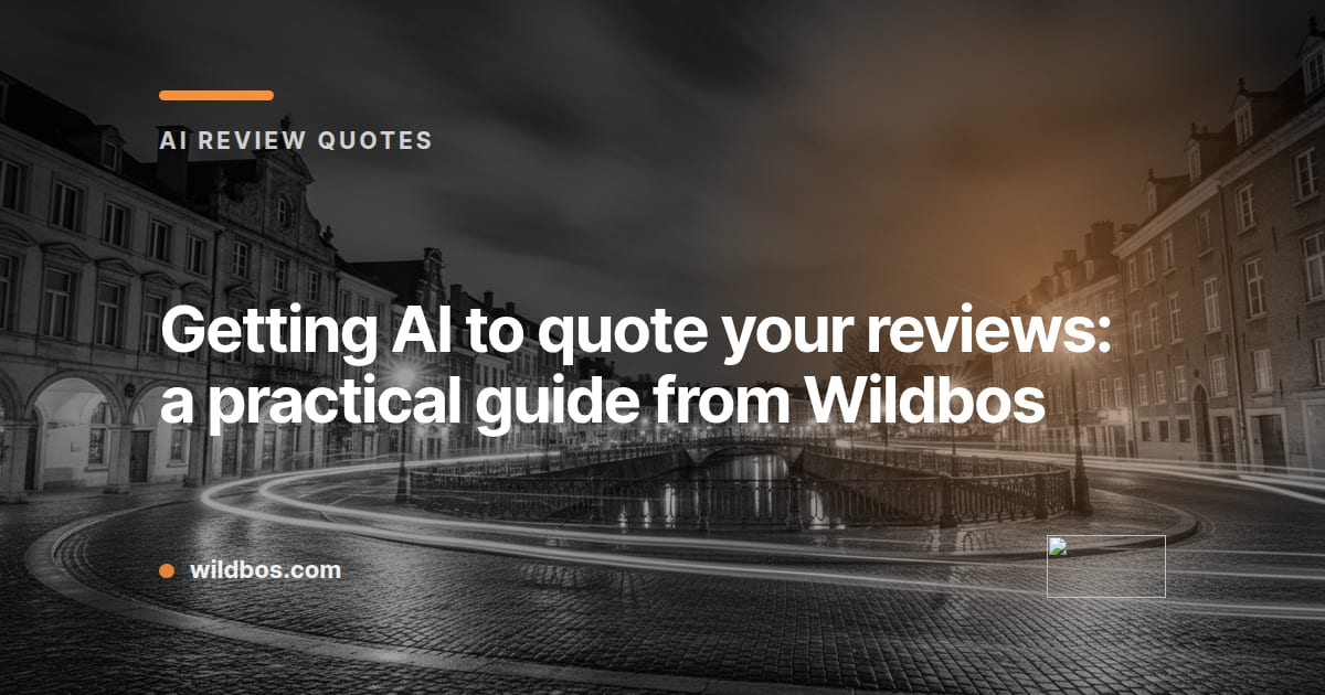 Branded card explaining how to get AI to quote your reviews, by Wildbos