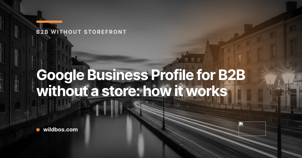 Branded map graphic for Wildbos blog on using Google Business Profile for B2B firms without a physical store