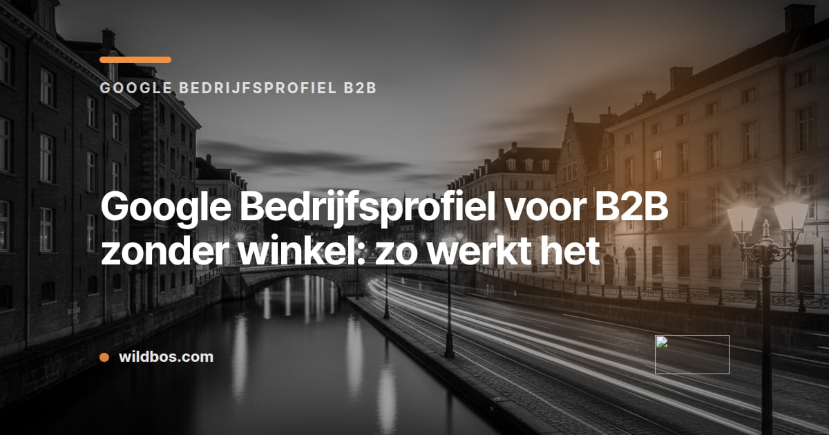 Kaart van Wildbos over het gebruik van Google Bedrijfsprofiel voor B2B-bedrijven zonder winkel