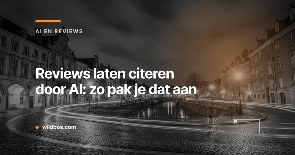Kaart van Wildbos over reviews laten citeren door AI en het aanpakken daarvan