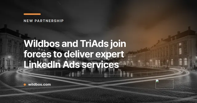 Branded card announcing Wildbos and TriAds partnership for LinkedIn Ads services