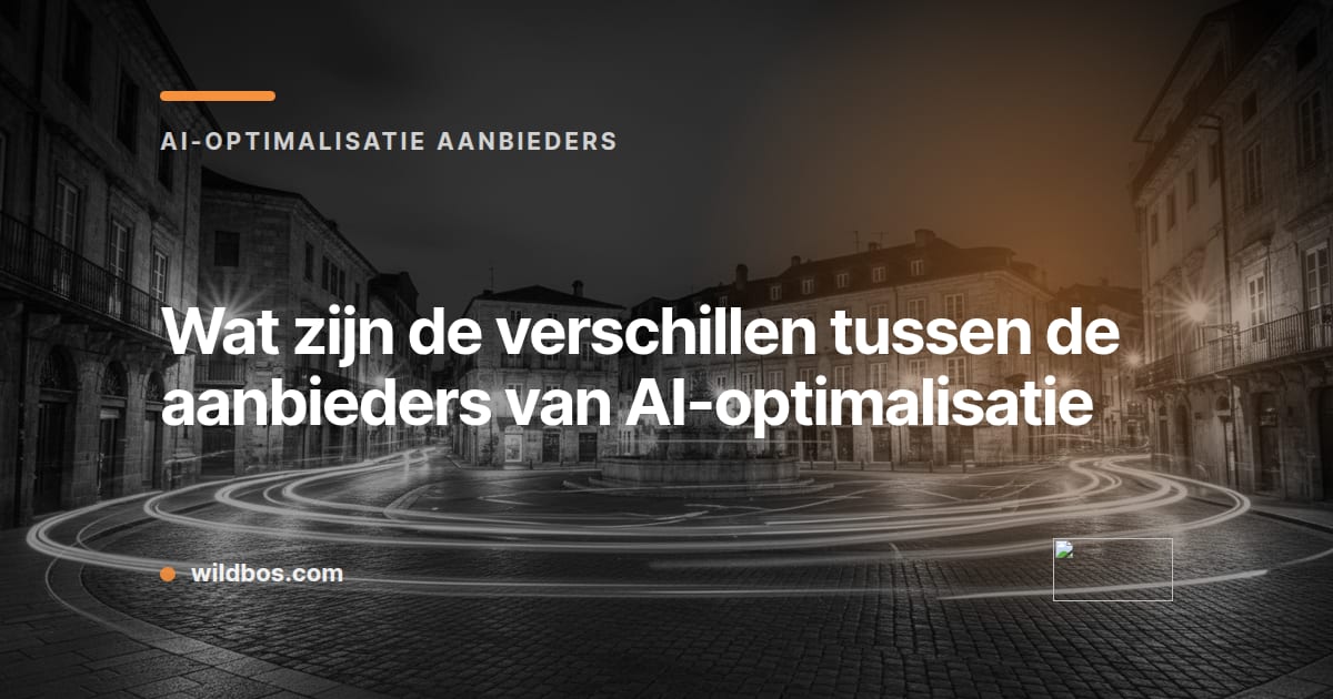 Kaart van Wildbos met de titel over verschillen tussen aanbieders van AI-optimalisatie
