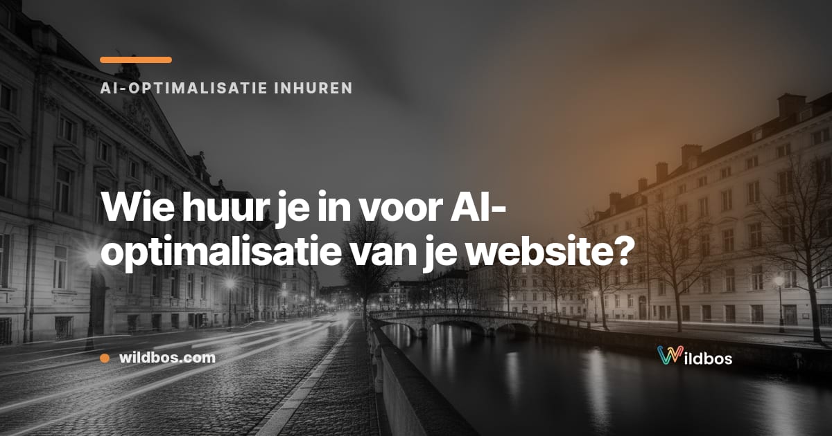 Wie huur je in voor AI-optimalisatie van je website?