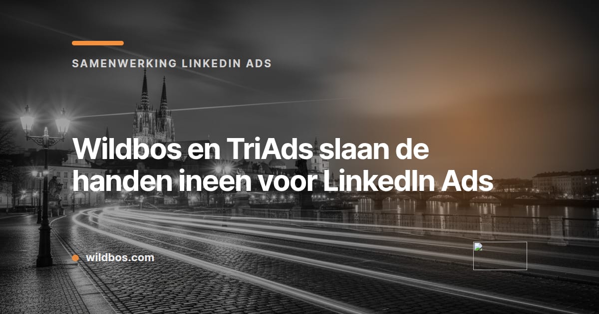 Wildbos en TriAds bundelen krachten voor LinkedIn Ads in een kaart met merkkleur en korte tekst