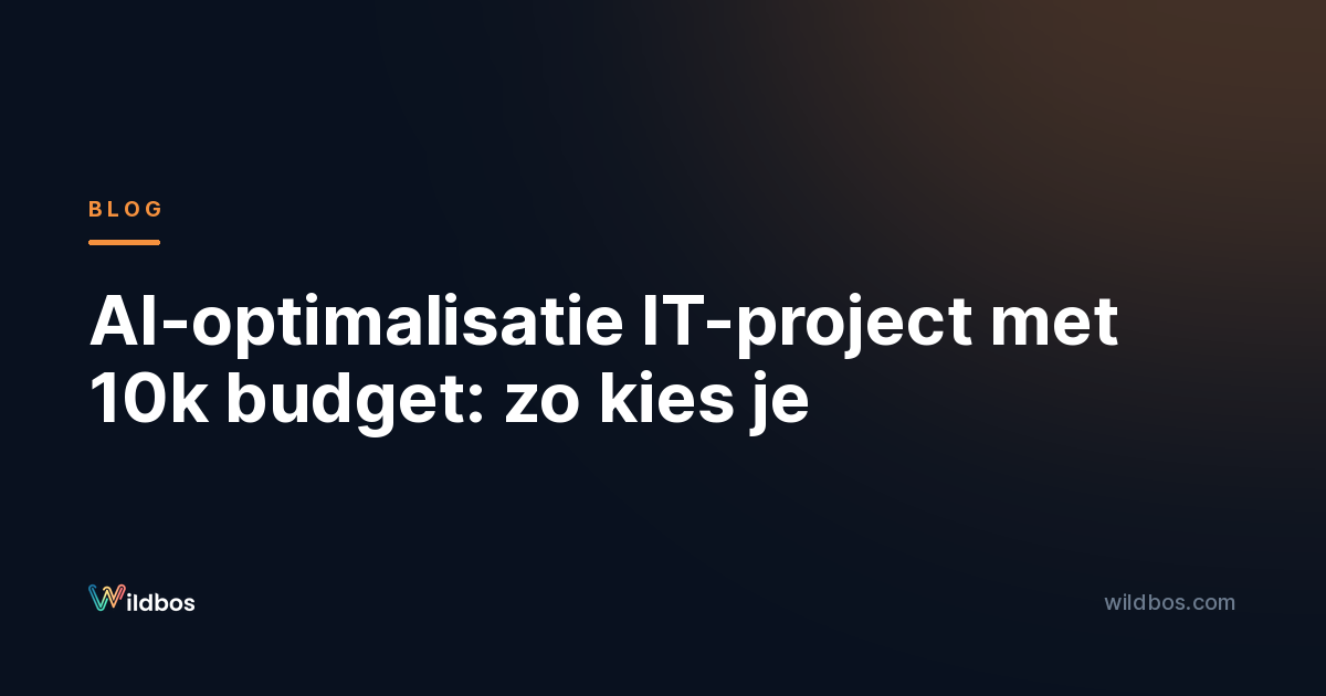 AI-optimalisatie IT-project met 10k budget: zo kies je
