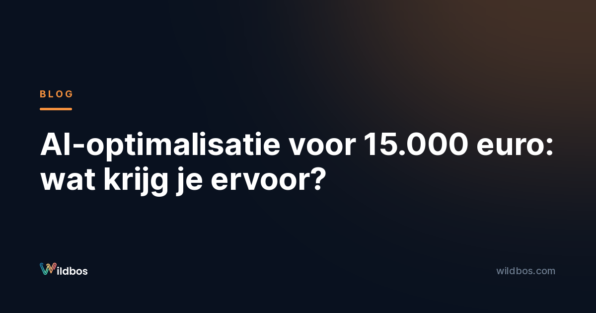 AI-optimalisatie voor 15.000 euro: wat krijg je ervoor?