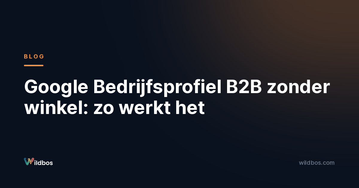 Google Bedrijfsprofiel B2B zonder winkel: zo werkt het